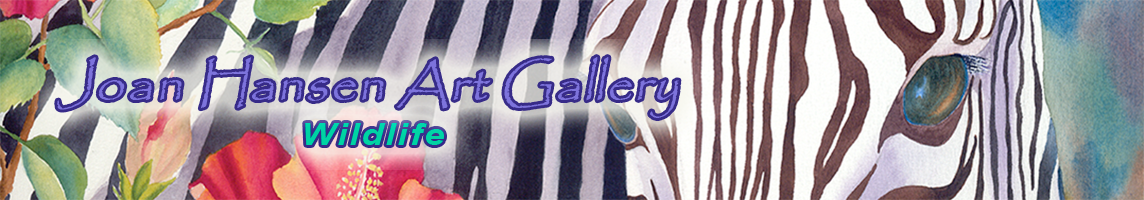 banner for wildlife link page