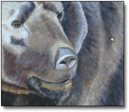 bear and bee close-up
