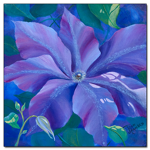Clematis by Joan Hansen