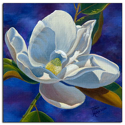 Magnolia by Joan Hansen