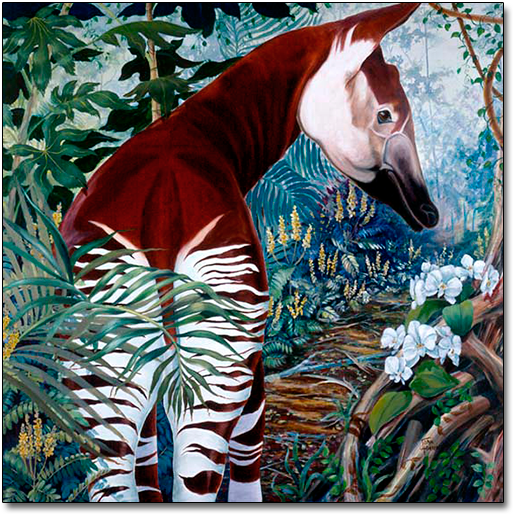 Okapi by Joan Hansen
