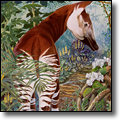 Okapi by Joan Hansen