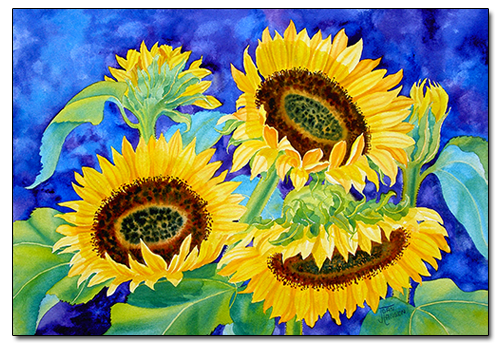 Sunflowers by Joan Hansen