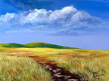 Windswept by Joan Hansen