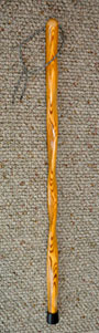 walking stick