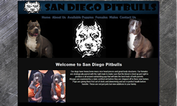 sd_piitbulls