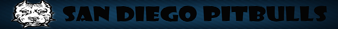 banner of san diego pitbulls