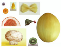 Veggie Head Characters